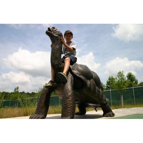 Veľká fontána s galapágskou korytnačkou - bronzová socha