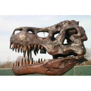 Umelecké Sochy Lebka tyranosaura rexa  