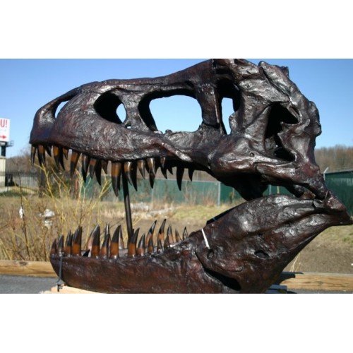 Veľká lebka tyranosaura rexa - bronzová socha