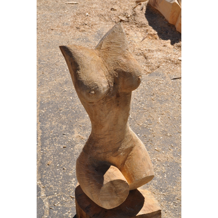 Drevené torzo - socha z dreva