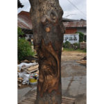 Škriatok stromofúz - socha z dreva