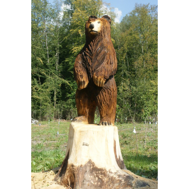 Drevený medveď - Socha z dreva