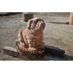 Sediaci buldog - Image 4