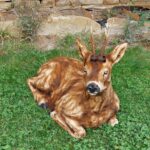 Ležiaca srnka - drevená socha