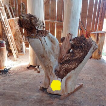 Drevený medveď a orol